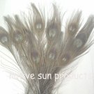 10 peacock 10-15" length GRAY Bleached & dyed 10 peacock 10-15" length GRAY Bleached & dyed