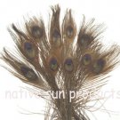 10 peacock 10-15" length BROWN  Bleached & dyed