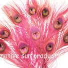 10 peacock 10-15" length HOT PINK Bleached & dyed 10 peacock 10-15" length HOT PINK Bleached & dyed