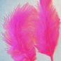 HOT PINK Feathers Fluffy Marabou 1 oz (28 g)  3-8" L