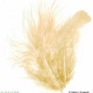 BEIGE Feathers Fluffy Marabou 1 oz (28 g)  3-8" L