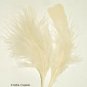EGGSHELL Feathers Fluffy Marabou 1 oz (28 g)  3-8" L