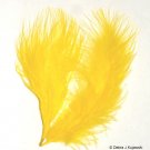 YELLOW Feathers Fluffy Marabou 1 oz (28 g) 3-8" L YELLOW Feathers Fluffy Marabou 1 oz (28 g) 3-8" L