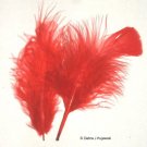 RED Feathers Fluffy Marabou 1 oz (28 g)  3-8"
