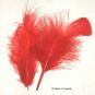 RED Feathers Fluffy Marabou 1 oz (28 g)  3-8"