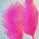 HOT PINK Feathers Fluffy Marabou 1/4 oz (7g) 3-8" HOT PINK Feathers Fluffy Marabou 1/4 oz (7g) 3-8"