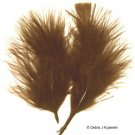 BROWN Feathers Fluffy Marabou 1/4 oz (7g)  3-8"