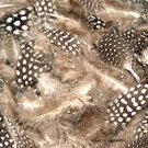 Feathers Spotted Guinea Hen Natural Body Plumage 1/4 pound bag Feathers Spotted Guinea Hen Natural Body Plumage 1/4 pound bag