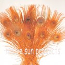 50 Peacock Eye Feathers ORANGE 10-15" L bleached & dyed 50 Peacock Eye Feathers ORANGE 10-15" L bleached & dyed