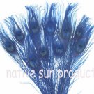 50 Peacock Eye Feathers ROYAL BLUE 10-15" L bleached & dyed