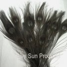 50 Peacock Eye Feathers BLACK 10-15" L bleached & dyed 50 Peacock Eye Feathers BLACK 10-15" L bleached & dyed