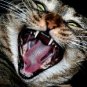 Get Rid Of Annoying People