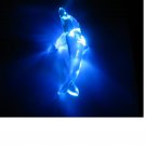 The dolphin