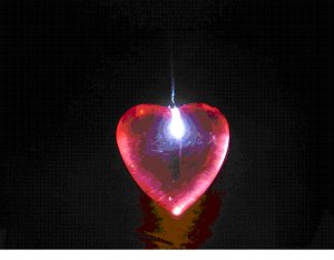 The love heart