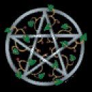Personal Fortunte Teller ~ 7 Day Daily Reading