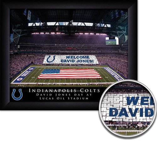 Indianapolis Colts Stadium Print With Your Name