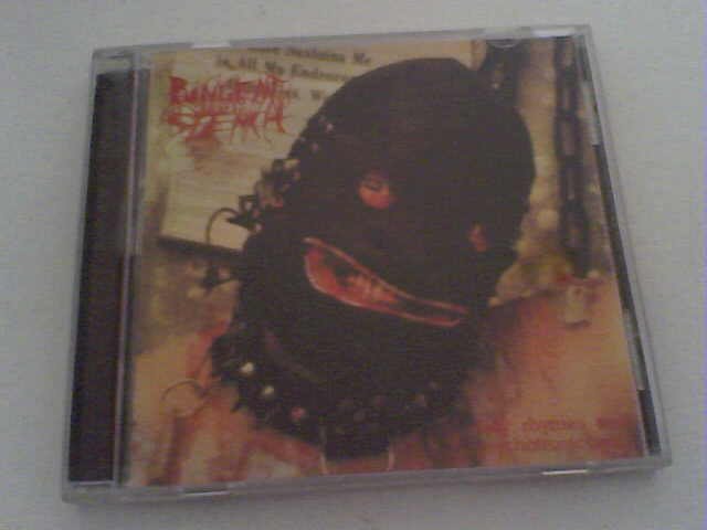 dirty rhymes and psychotronic beats pungent stench dirty rhymes and psychotronic beats pungent stench