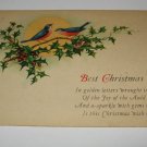 Bluebirds and Holly Christmas postcard lot  C67