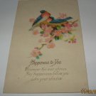 Happiness To You Bluebirds in Nest Vintage Postcard B-2