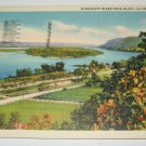 Mississippi River La Crosse,Wi postcard W13