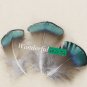 Wholesale lot hair accessories Feather Extensions DIY
