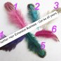 Wholesale lot hair accessories Feather Extensions DIY