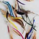 Wholesale lot hair Feather Extensions peacock grizzly earrings jewelry business
