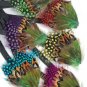 Wholesale lot hair Feather Extensions peacock grizzly earrings jewelry business