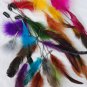 Wholesale lot hair Feather Extensions peacock grizzly earrings jewelry business