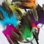 Wholesale lot hair Feather Extensions peacock grizzly earrings jewelry business