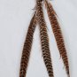 Wholesale lot hair Feather Extensions peacock grizzly earrings jewelry business