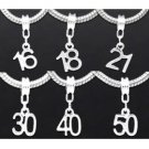 Number /Age Dangle DIY Beads Fit Charm Bracelet 250pcs free shipping