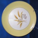 DINNER PLATE HOMER LAUGHLIN CENTURY SERVICE AUTUMN GOLD