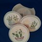 SOUTHWESTERN CACTUS STONEWARE DRINK COASTER SET AND HOLDER