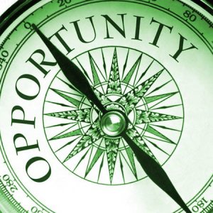 Market Research Report