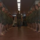 Stars & Stripes