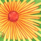 Set of two daisy watercolor original paintings Paula M