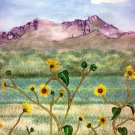Valley Wildflowers matted print watercolor art Paula M