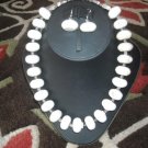 White Turquoise/Buffalo Turquoise necklace