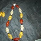 Delicate Amber necklace with earrings