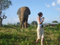 Ghana - Cultural and Wildlife Safari 9 days