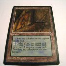 Koskun Keep & Koskun Falls Cards Magic the Gathering FREE SHIPPING