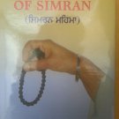 Celestial Joys of Simran - Raghbir Singh Bir (English)