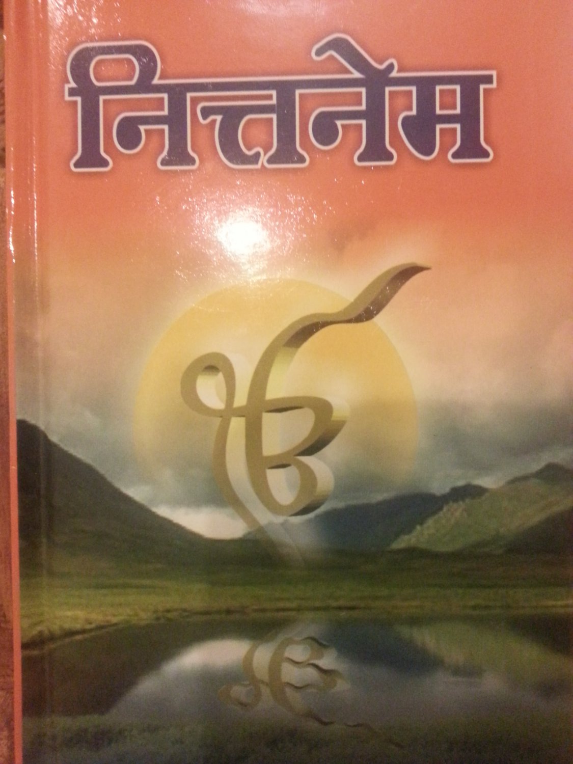 Nitname Gutka (Sikh Prayer Book in Hindi)