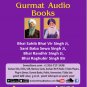USB drive (pen-drive) Audio Books - Sant Sewa Singh Ji, Bhai Vir Singh Ji, Bhai Raghbir Singh Bir