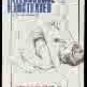 Intercourse Illustrated