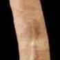 Kevin Dean Realistic Celebrity Skin Dildo