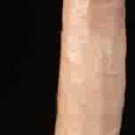 John Holms Realistic Celebrity Skin Dildo