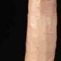 John Holms Realistic Celebrity Skin Dildo