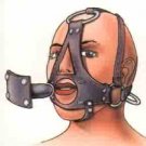 Deluxe Head Harness with Ball Gag